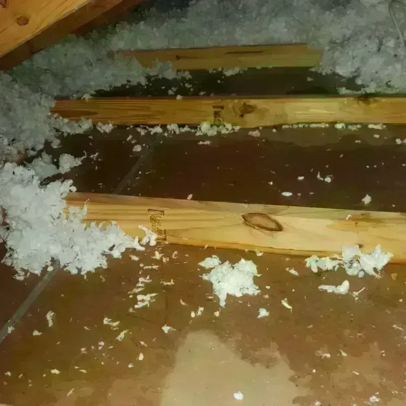 Attic Water Damage in Norfolk, NE