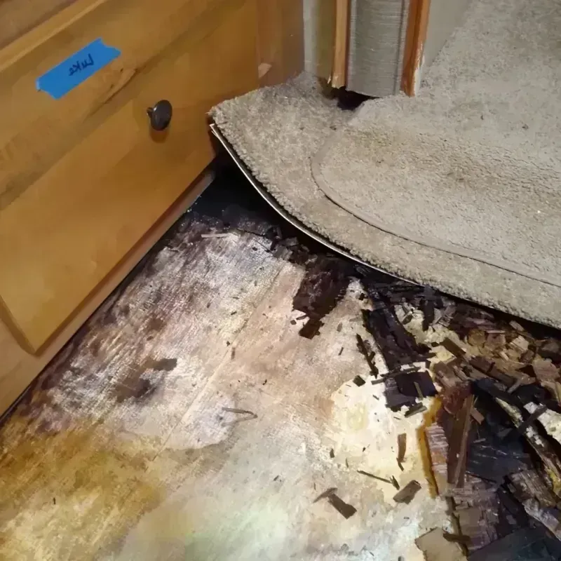 Wood Floor Water Damage in Norfolk, NE